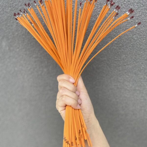 Dây kích bóng nổ (đầu diêm)